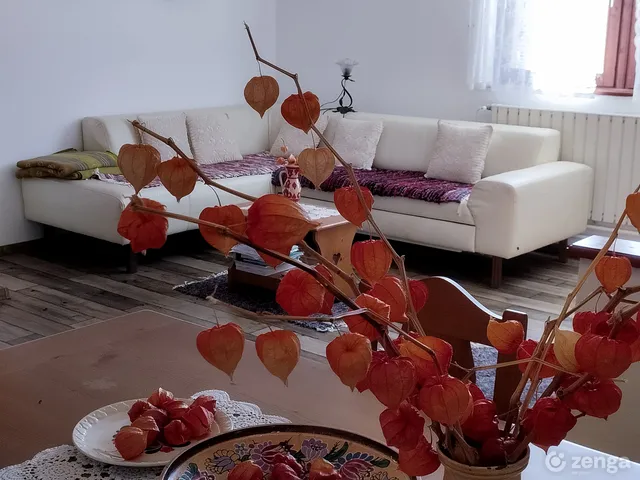 Eladó ház Pusztaberki 160 nm